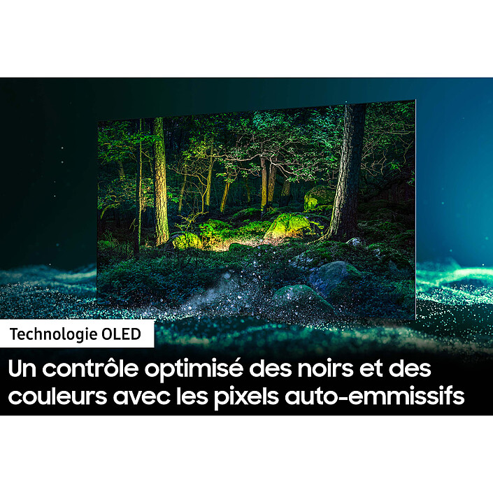 Avis Samsung OLED QE65S95B + HW-Q60B