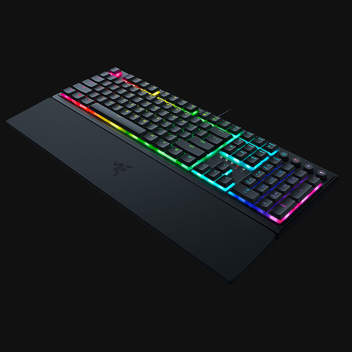 Avis Razer Ornata V3