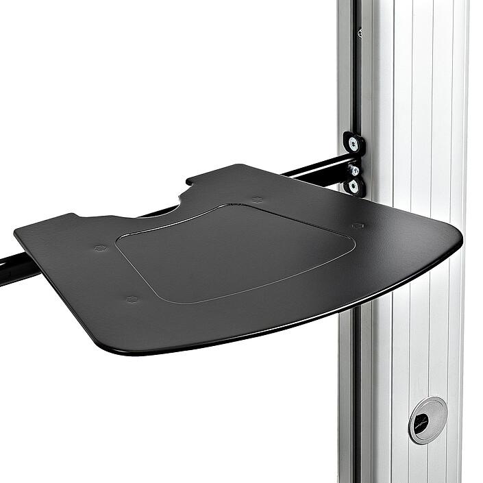 Acheter StarTech.com Support chariot double à roulettes pour TV de 37" à 60"