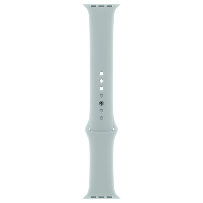 Apple Bracelet Sport 45 mm Bleu cactus - Regular