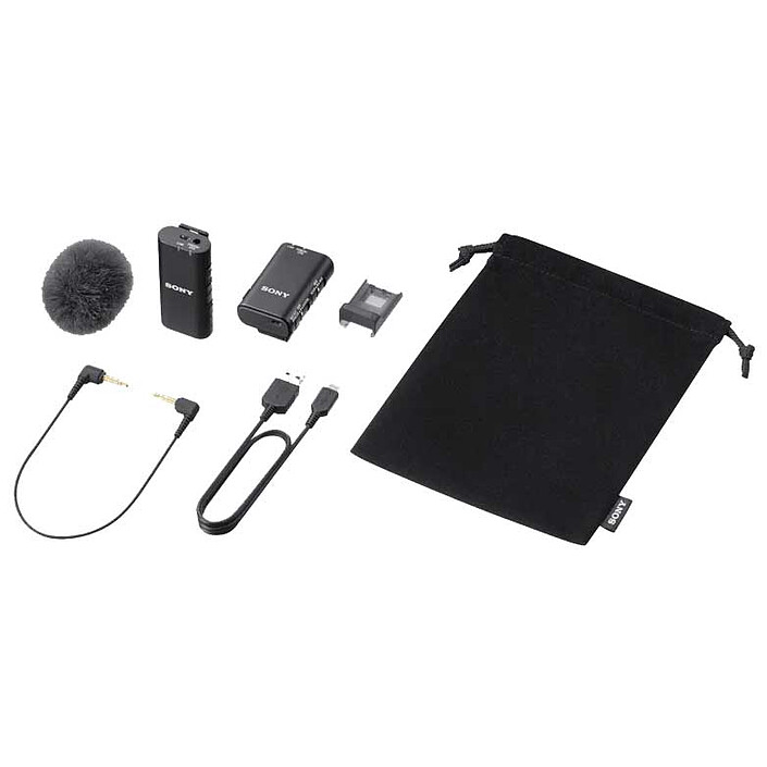 Sony ECM-W2BT economico