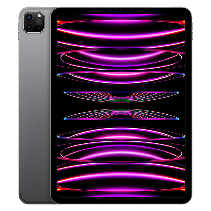 Apple iPad Pro (2022) 11 pouces 128 Go Wi-Fi + Cellular Gris Sidéral · Reconditionné