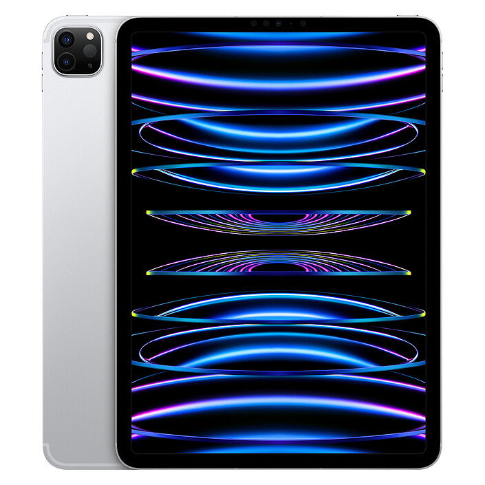 Apple iPad Pro (2022) 11 pouces 256 Go Wi-Fi + Cellular Argent · Reconditionné