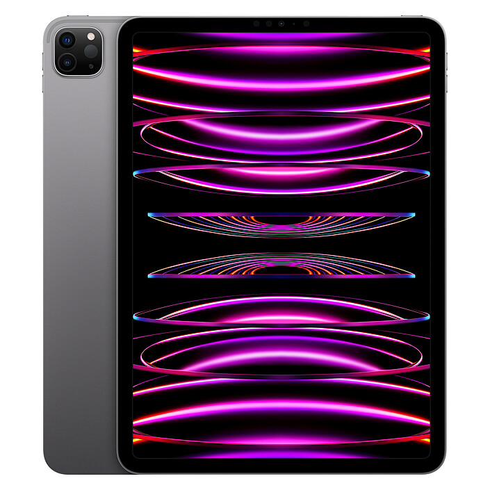 Apple iPad Pro (2022) 11 pouces 512 Go Wi-Fi Gris Sidéral · Reconditionné