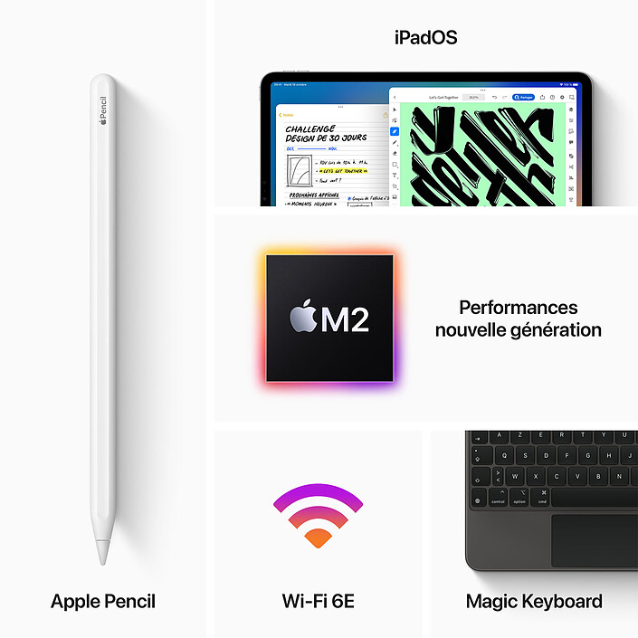 Acheter Apple iPad Pro (2022) 11 pouces 256 Go Wi-Fi Gris Sidéral