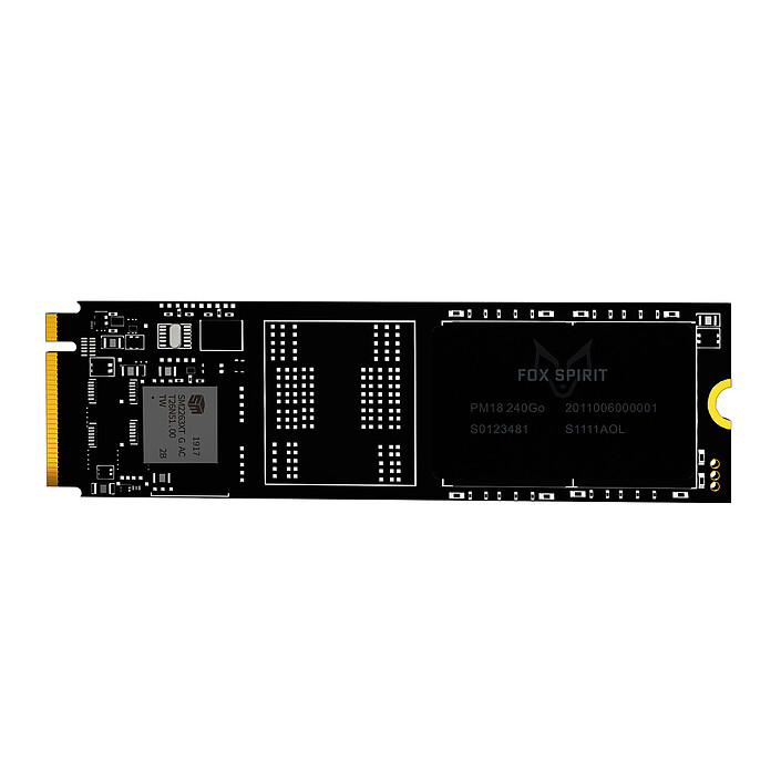 MSI MPG B550 GAMING PLUS + Fox Spirit PM18 M.2 2280 PCIE NVME 240 GB  pas cher