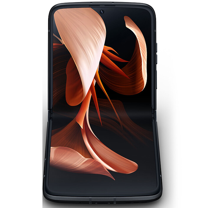 Cellulare & smartphone