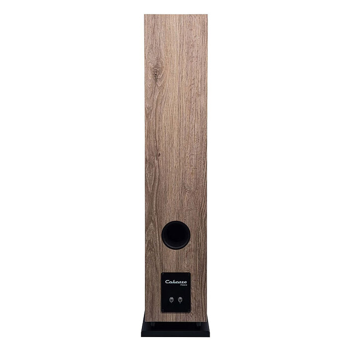 Speakers