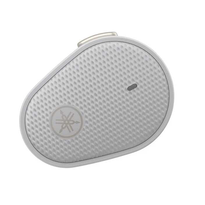 Avis Yamaha TW-E5B (Gris)