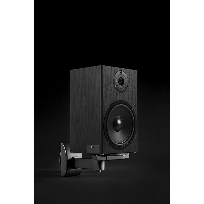 Vivolink VLMSP15 (par paire) pas cher