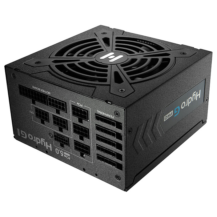 FSP Hydro G Pro ATX3.0 (PCIe 5.0) 1000W - PC power supply - LDLC | Holy ...