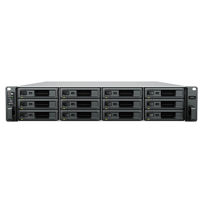 Synology SA3410