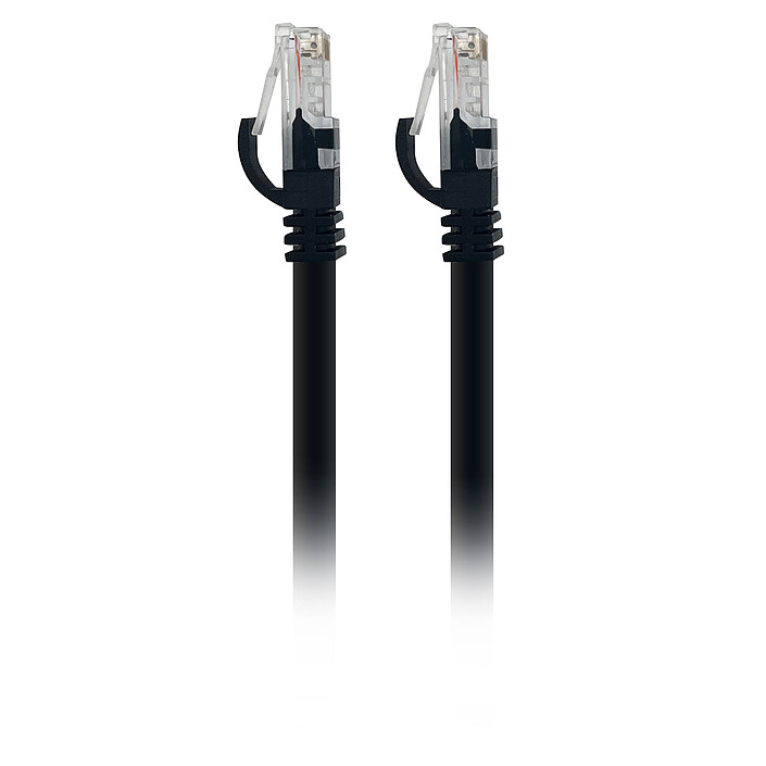Câble RJ45