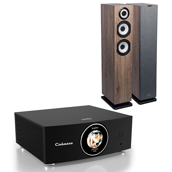 Cabasse ABYSS + Cabasse Java MC40 White Oak
