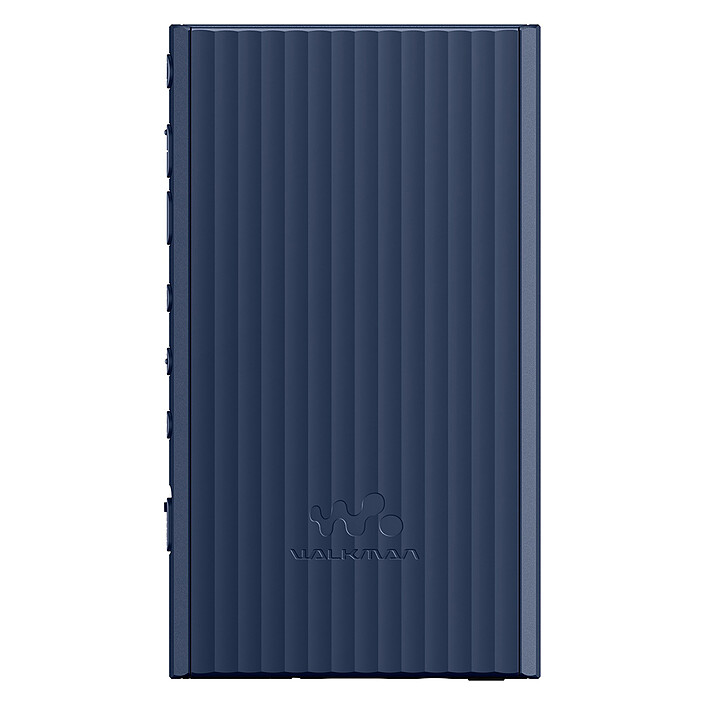 Review Sony NW-A306 Blue
