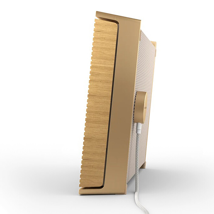 Acheter Bang & Olufsen Beosound Level Or/Chêne clair