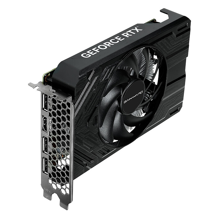 Buy Gainward GeForce RTX 4060 Pegasus