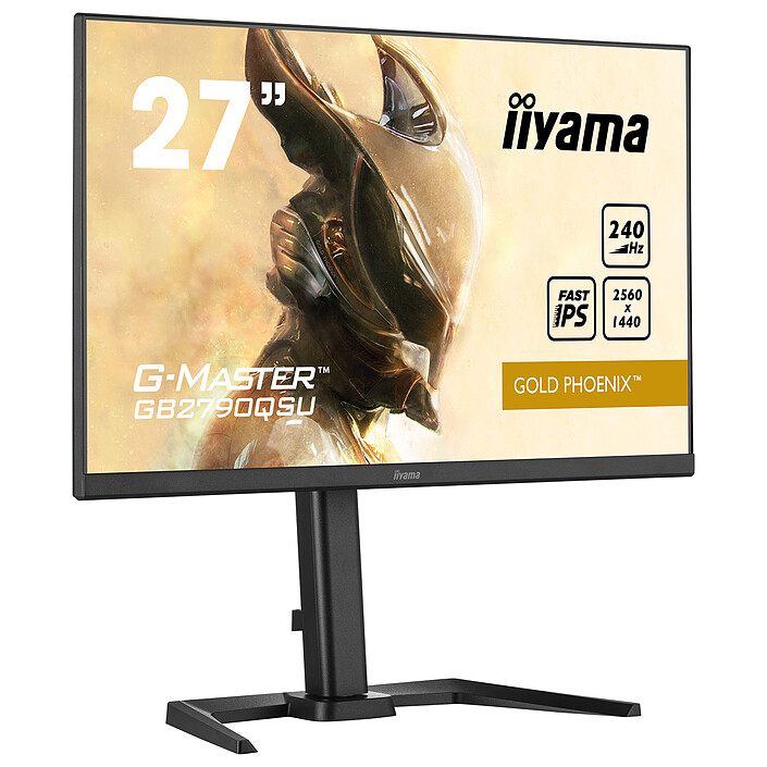 Monitor PC