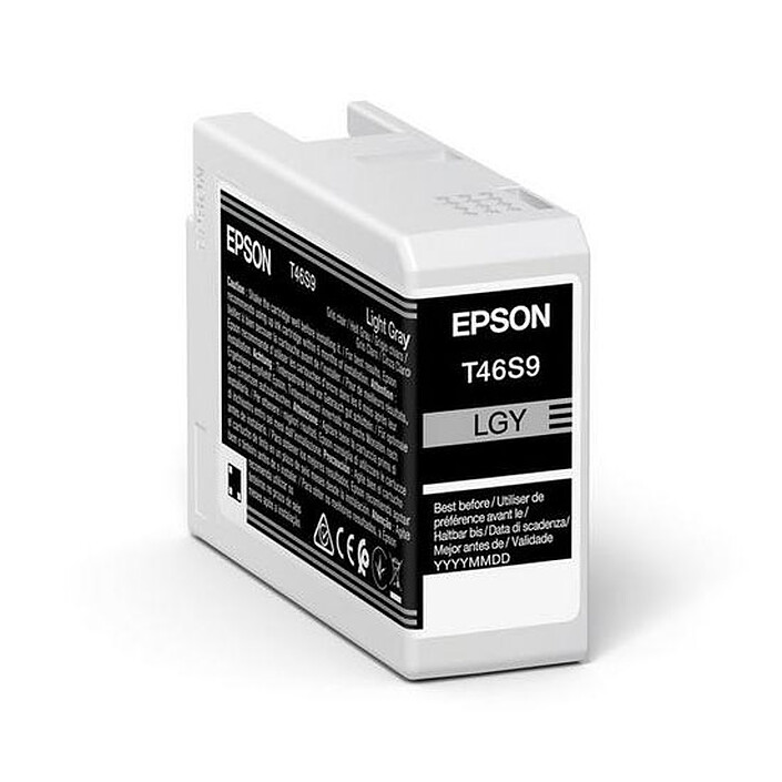 Epson Singlepack Light Gray T46S9 UltraChrome Pro 10 ink