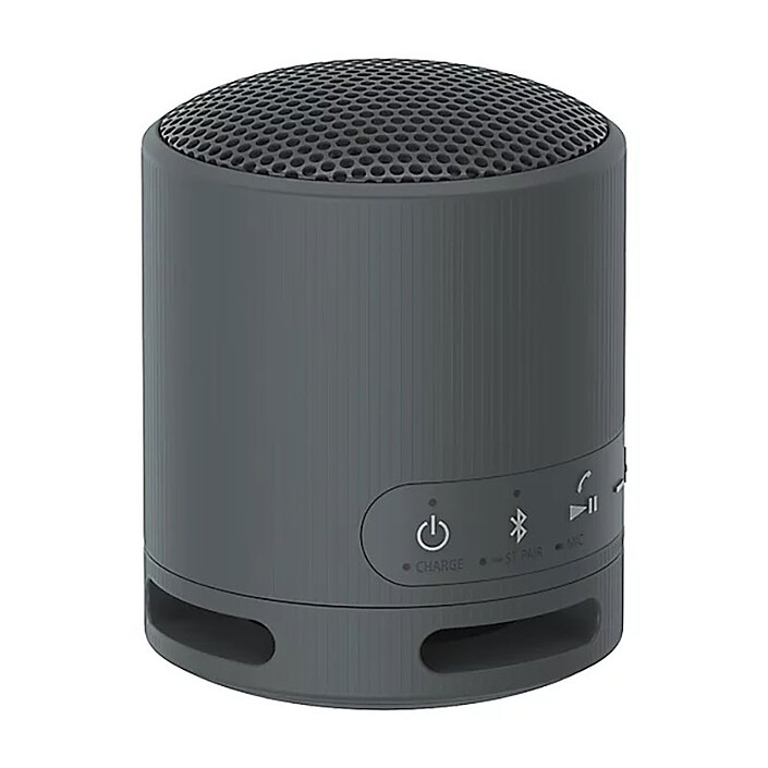 Avis Sony SRS-XB100 Noir 