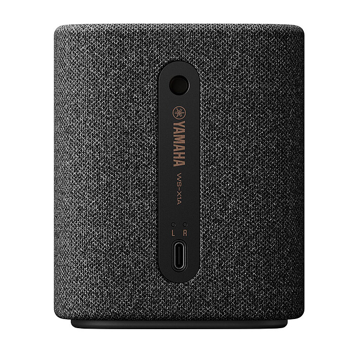 Avis Yamaha WS-X1A (Gris carbone)