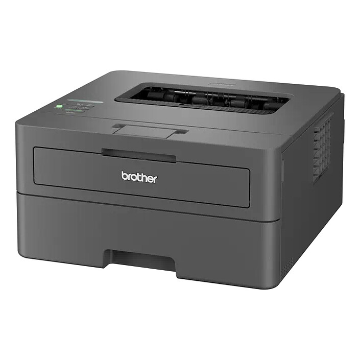 Opiniones sobre Brother HL-L2445DW