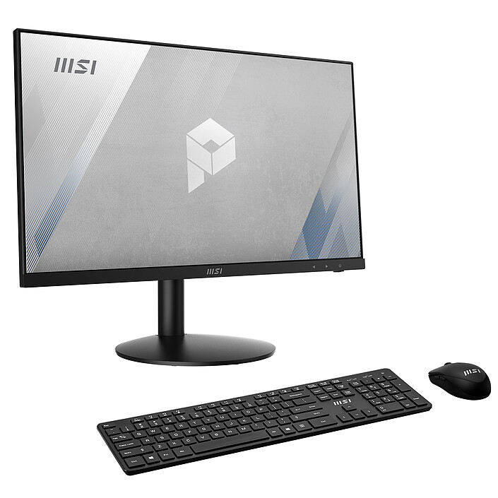 MSI PRO AP241 11M-013EU Noir