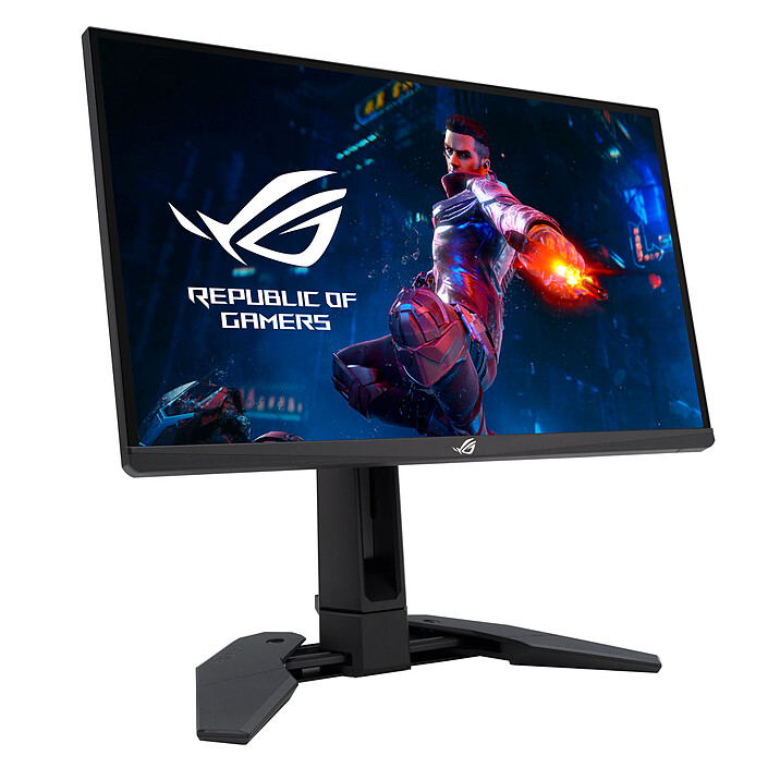 Ecran PC