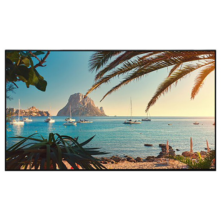 Vestel 55" LED - QF55B/4H