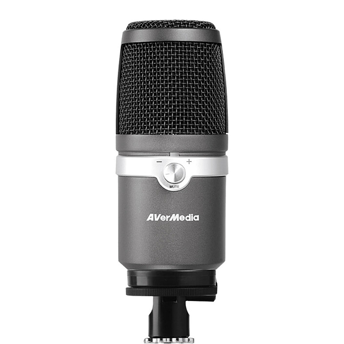 Avis AverMedia AM310