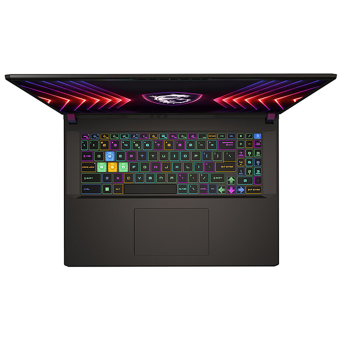 Avis MSI Vector 17 HX A13VIG-603FR
