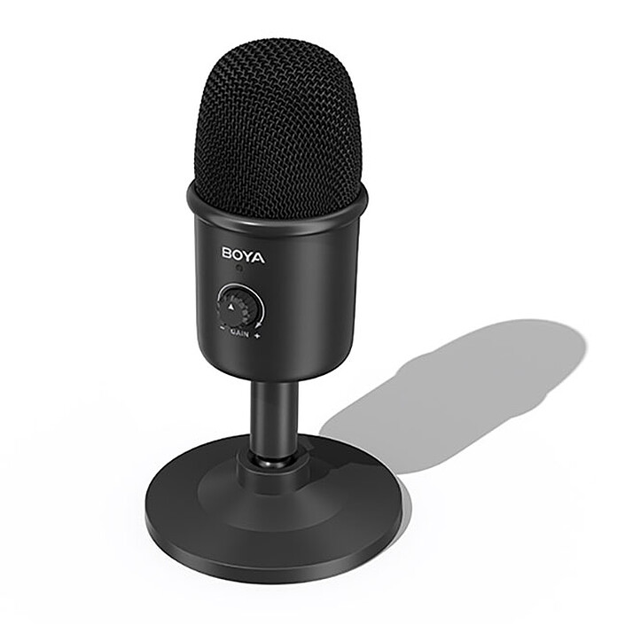 Microphone