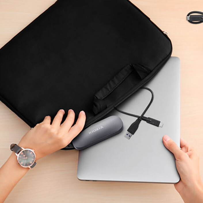 KIOXIA EXCERIA PLUS 500 Go pas cher