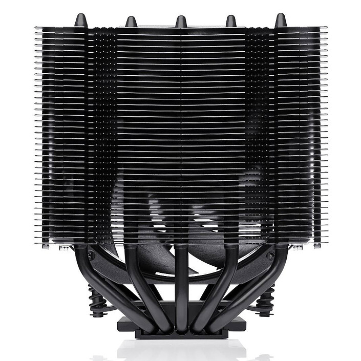 Review Noctua NH-D12L chromax.black