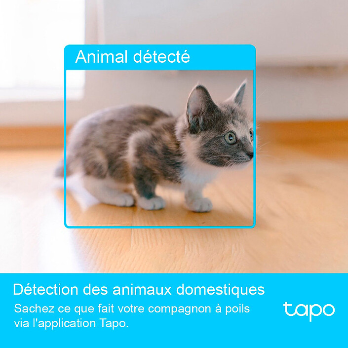 Acquista TP-LINK Tapo C225