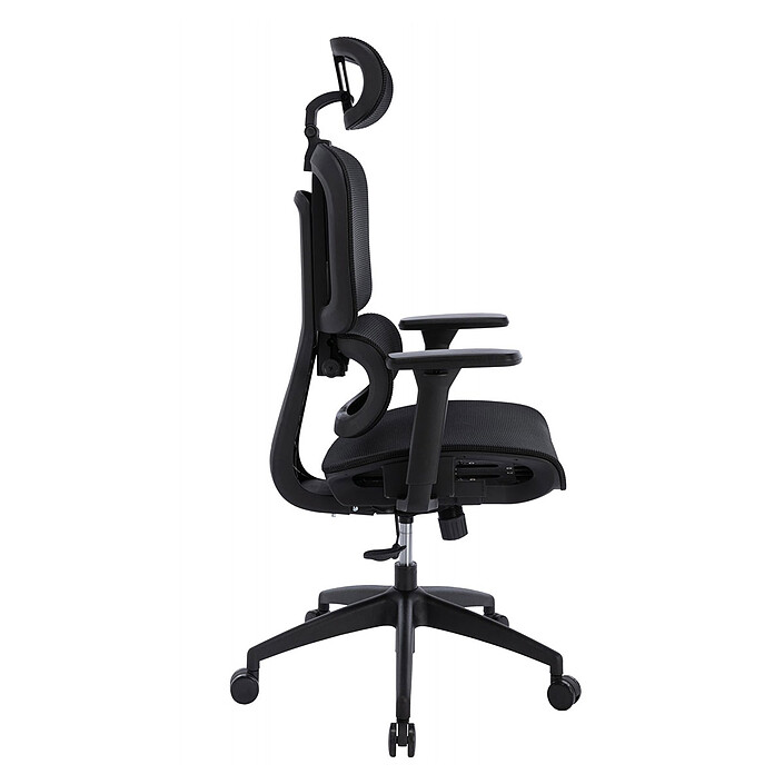 Oraxeat RG600 Nero economico