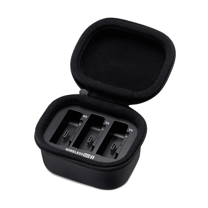 Microphone