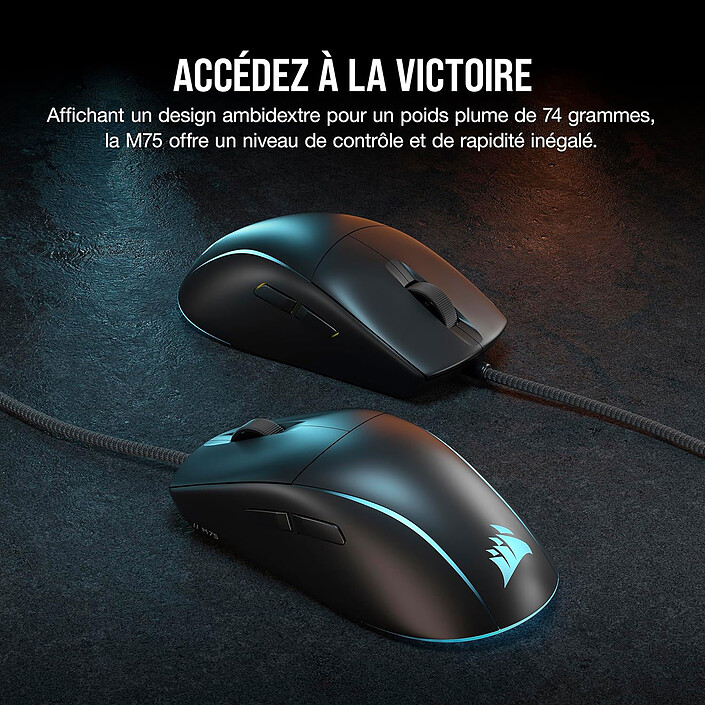 Souris PC