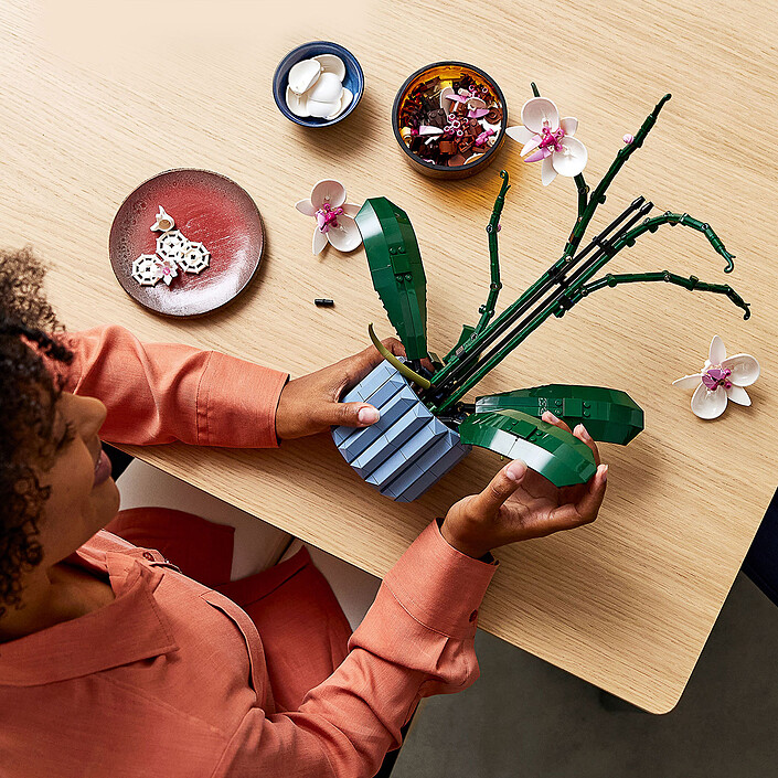 Acquista LEGO Icons 10311 L'Orchidea 