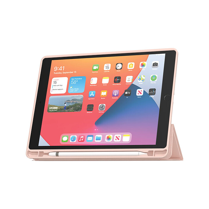 Nota MW Folio SlimSkin iPad Pro 11 (M4 2024) - Rose