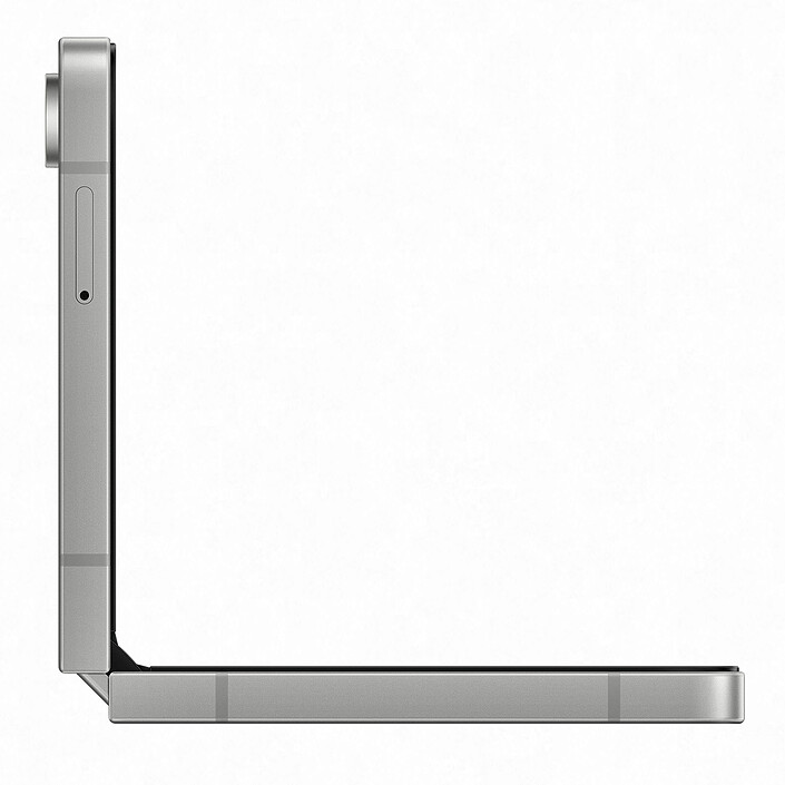 Avis Samsung Galaxy Z Flip 6 Gris (12 Go / 256 Go) · Reconditionné
