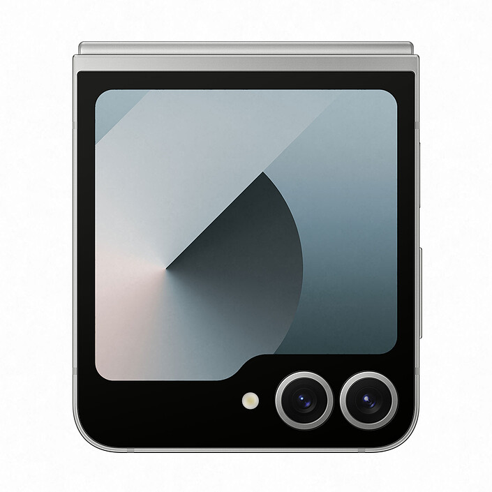 Samsung Galaxy Z Flip 6 Gris (12 Go / 256 Go) · Reconditionné pas cher