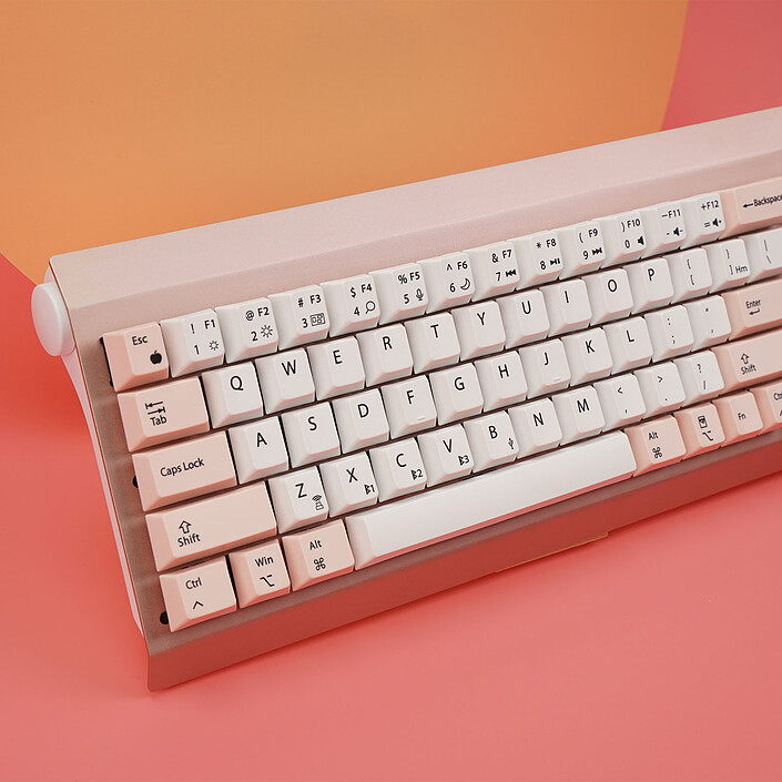 Review The Keyboard House Gingko Pro MX Brown (Pink)