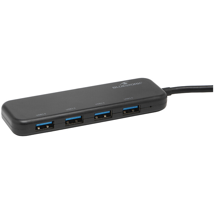 Review Bluestork Hub First