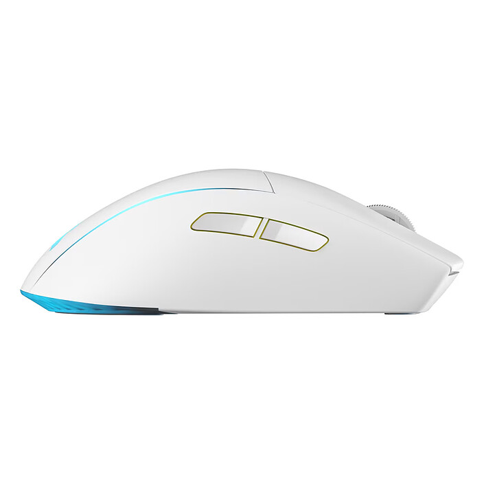 Souris PC