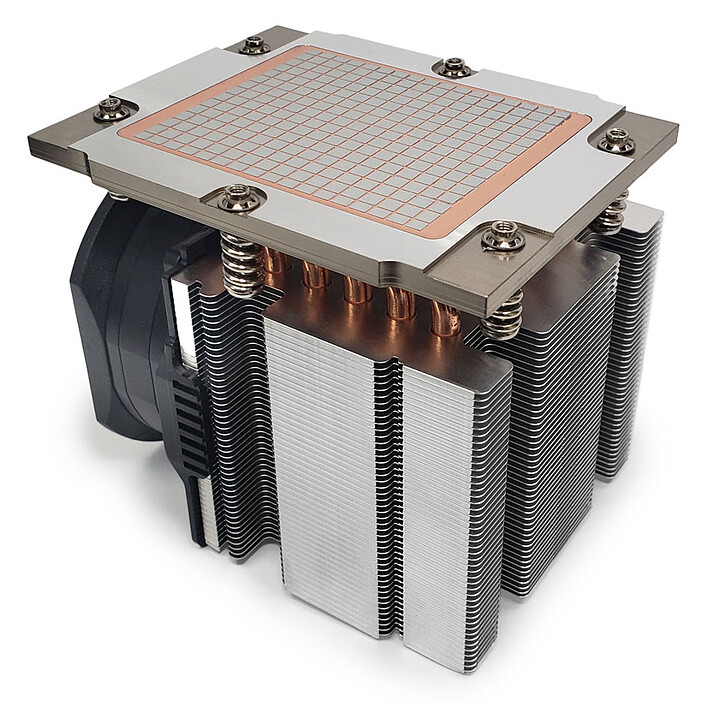 Acquista AMD Dynatron J12 