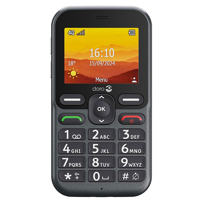 Acquista Doro Leva L10 SC Graphite