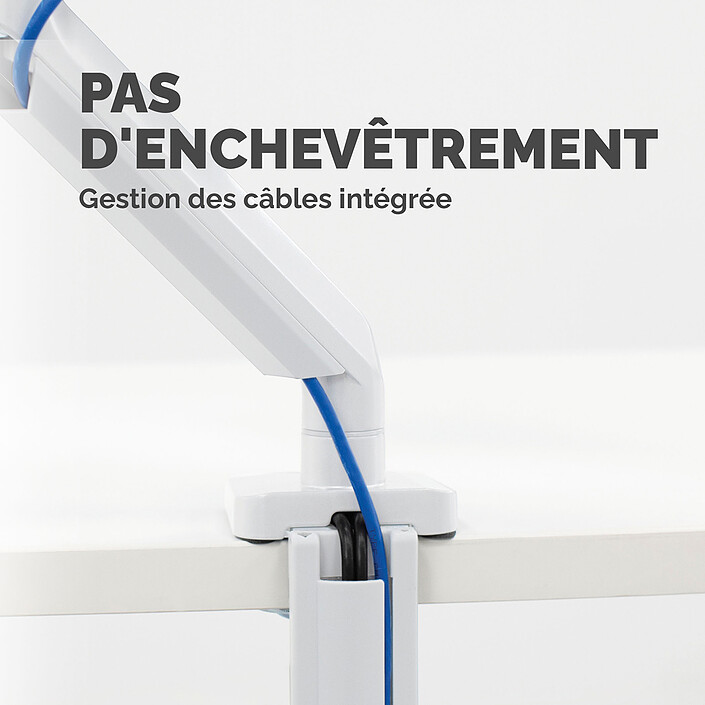 Braccio & Piedistallo