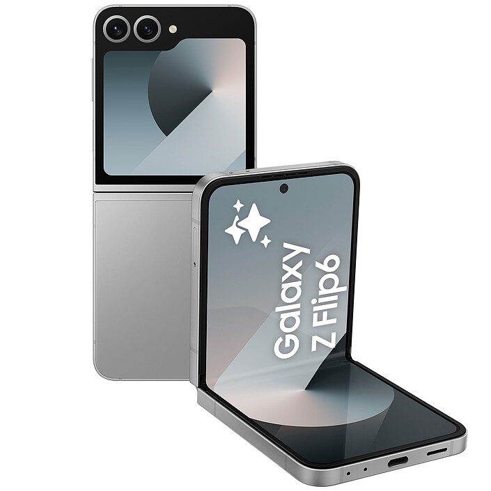 Samsung Galaxy Z Flip 6 Gris (12 Go / 256 Go) · Reconditionné