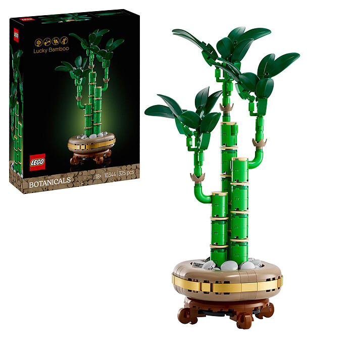 Avis LEGO Botanique 10344 Le bambou de la chance